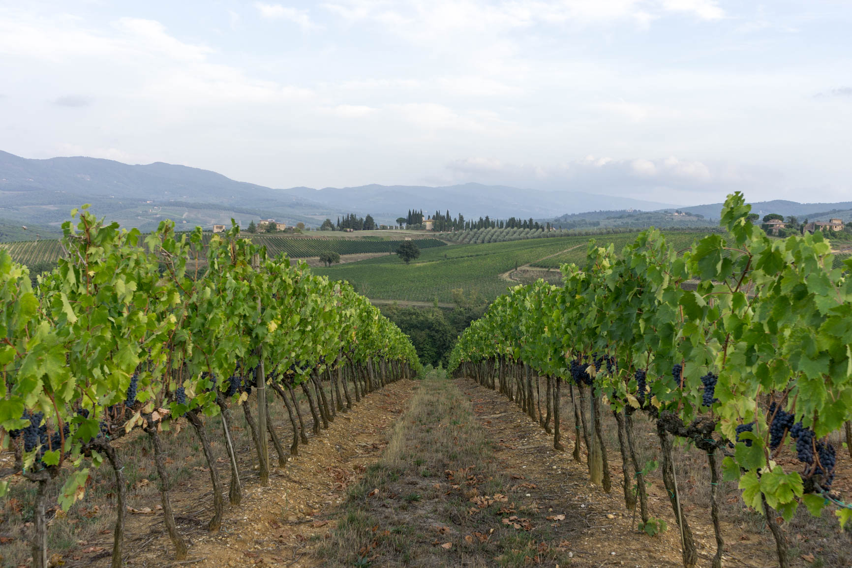 Chianti Excursion ⋆ Personalized Italy